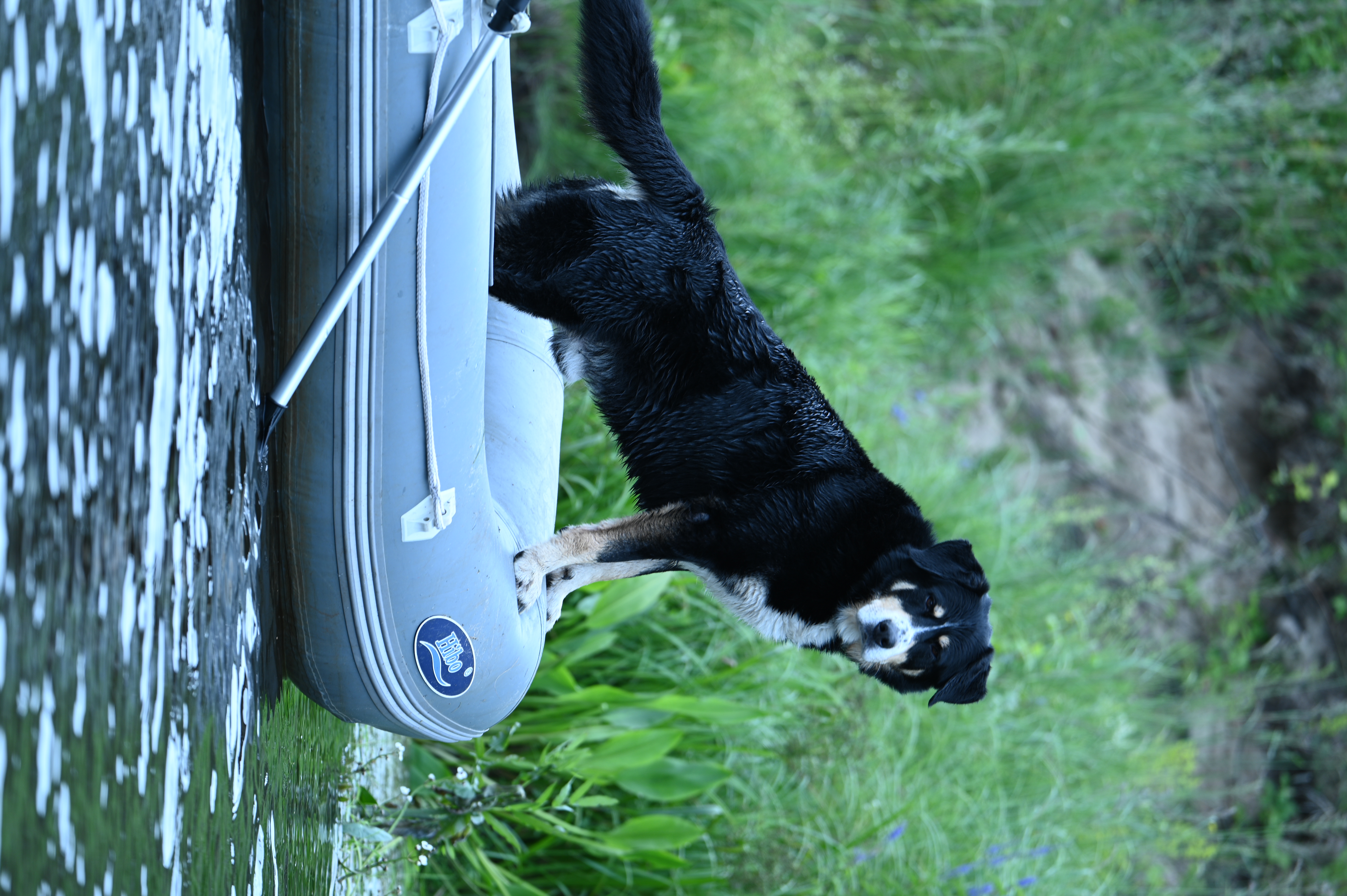 2025/07/09-14 - trip/DSC_0230.JPG